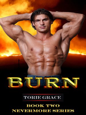 cover image of BURN